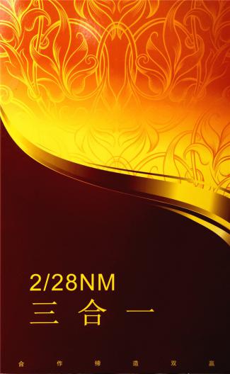 2/28NM三合一