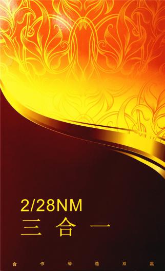 2/28NM三合一