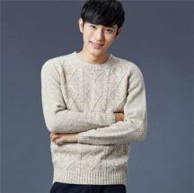 新品男裝時尚圓領(lǐng)長袖毛衣