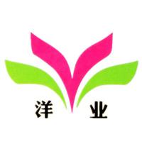 東莞市洋業(yè)紡織有限公司