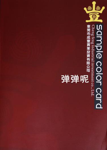 彈彈呢