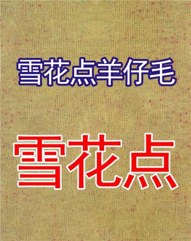 1/8雪花點(diǎn)羊仔毛