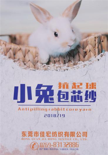 2/36抗起球小兔包芯紗