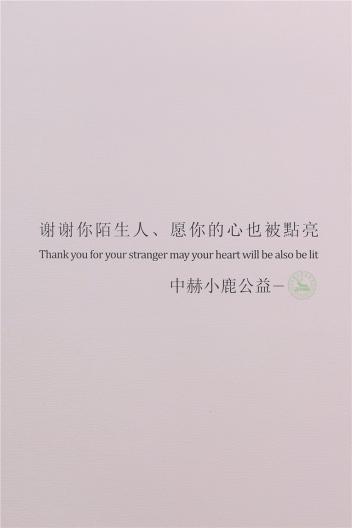 易護(hù)理羊絨包芯紗、抗起球兔毛包芯紗
