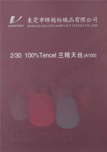 2/30 100%TENCEL 蘭精天絲