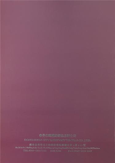 2/40 100%TENCEL 蘭精天絲