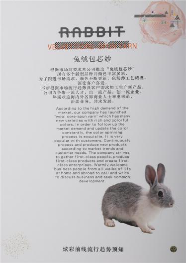 32S/2抗起球莫代爾包芯紗