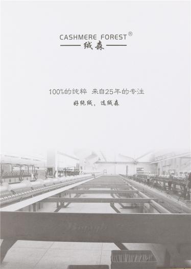 26NM/2 100%CASHMERE