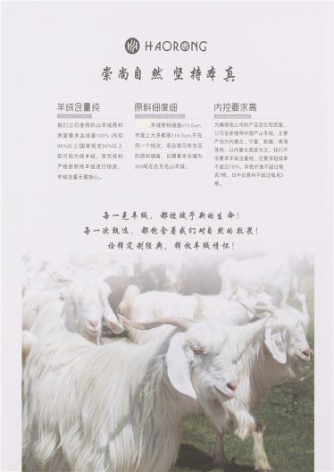 2/26NM 70%WOOL 30%CASHMERE