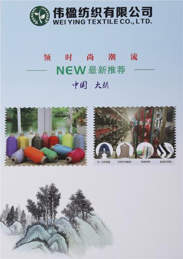有色錦綸 3D飛織仿錦綸 有色高彈絲
