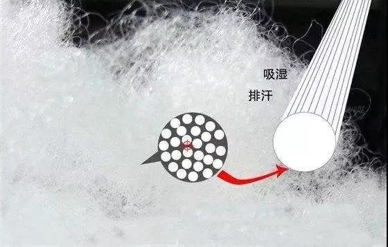 http://www.dldltg.com/upload/202106290944916788.jpg