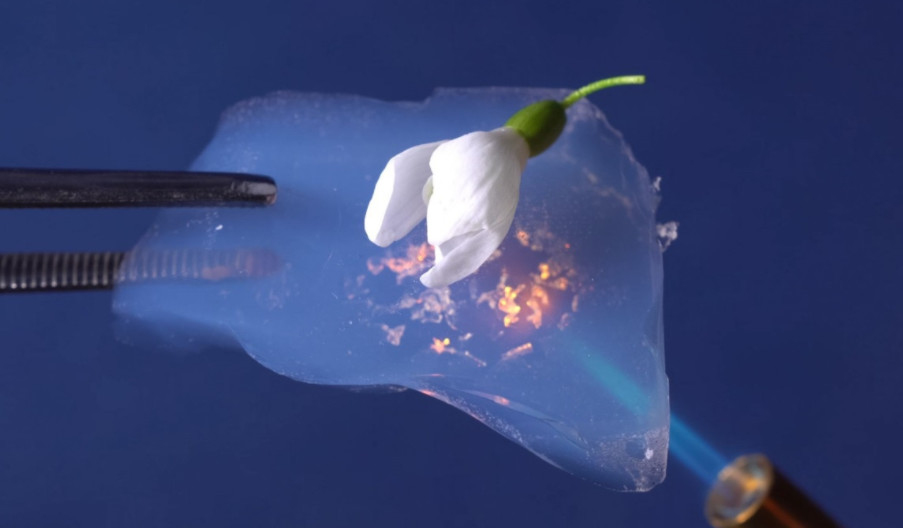 http://www.dldltg.com/upload/202203081022039891.png