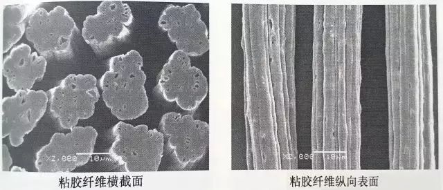 http://www.dldltg.com/upload/202204161001195356.jpg