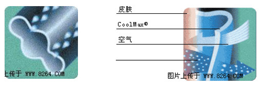 http://www.dldltg.com/upload/202205240953262679.png