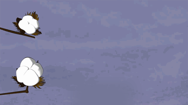 http://www.dldltg.com/upload/202210141006020715.gif