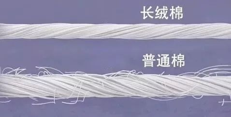 http://www.dldltg.com/upload/202210141006291308.jpg
