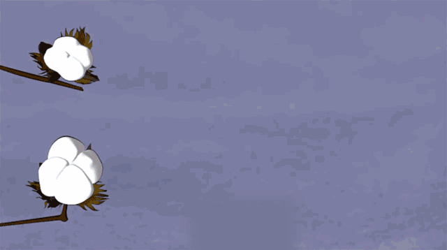 http://www.dldltg.com/upload/202210141006460698.gif